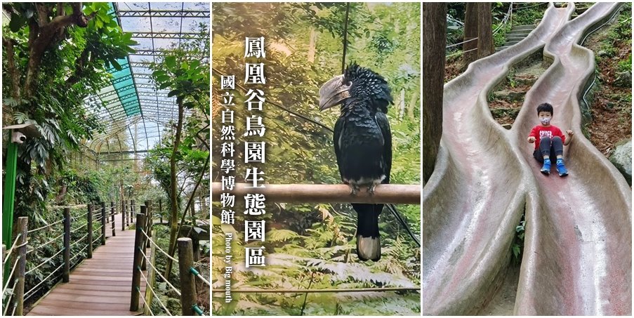 靠旅遊生活、台灣｜7個南投超好玩親子景點推薦
