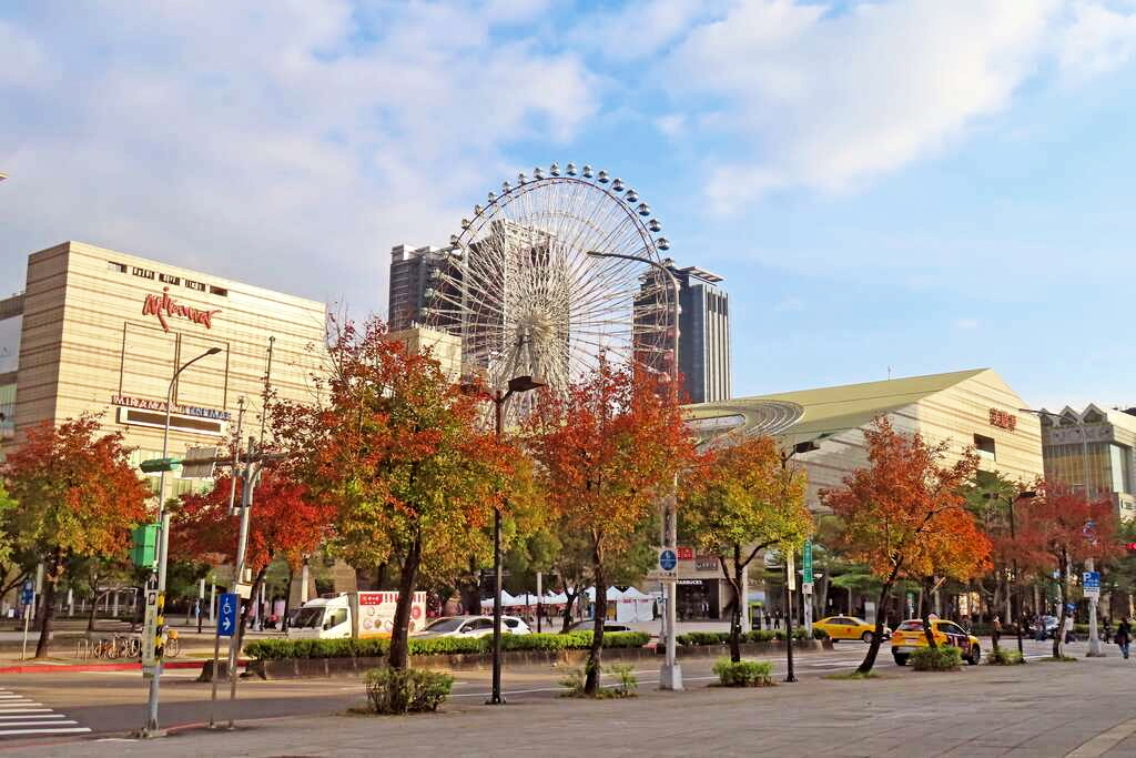 台北街頭楓紅層層　大直美麗華、中山北路、至善路都有紅葉大道美景