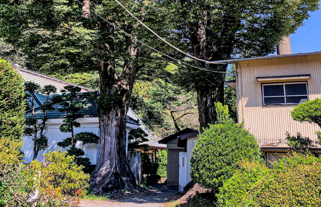 神奈川縣200年歷史酒造　釀造純米清酒只為活絡在地農產業