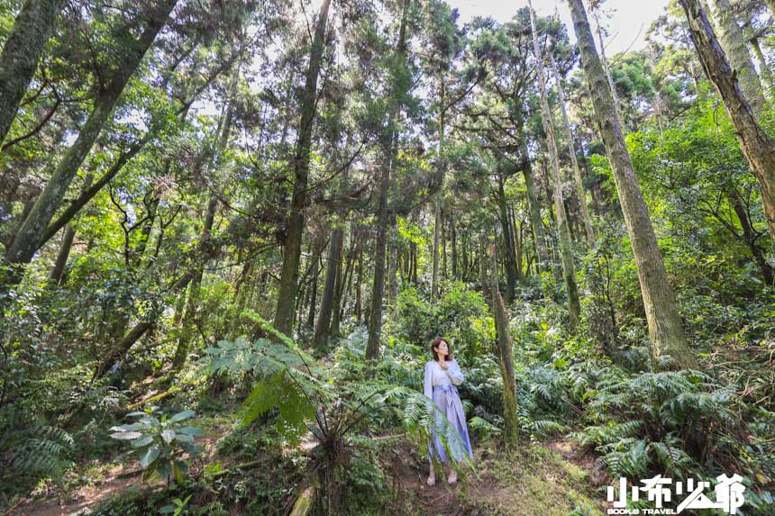 靠旅遊生活、台北｜美翻天！盤點7個陽明山超好拍景點