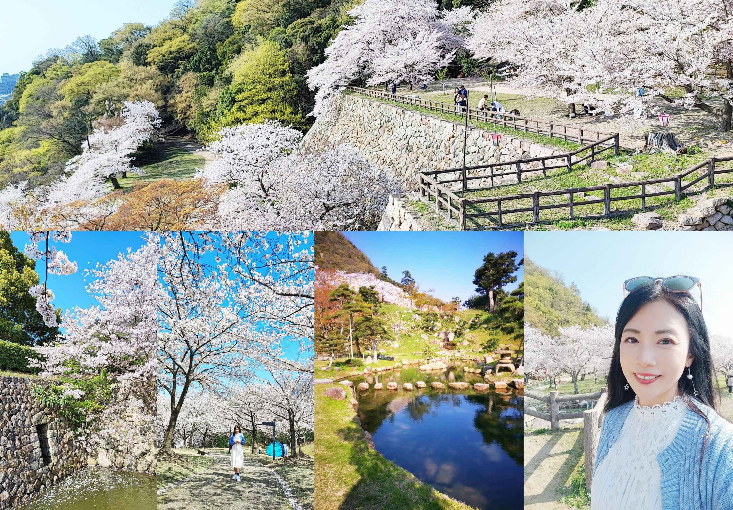 靠旅遊生活、日本山陰地區｜鳥取＆島根賞櫻景點懶人包