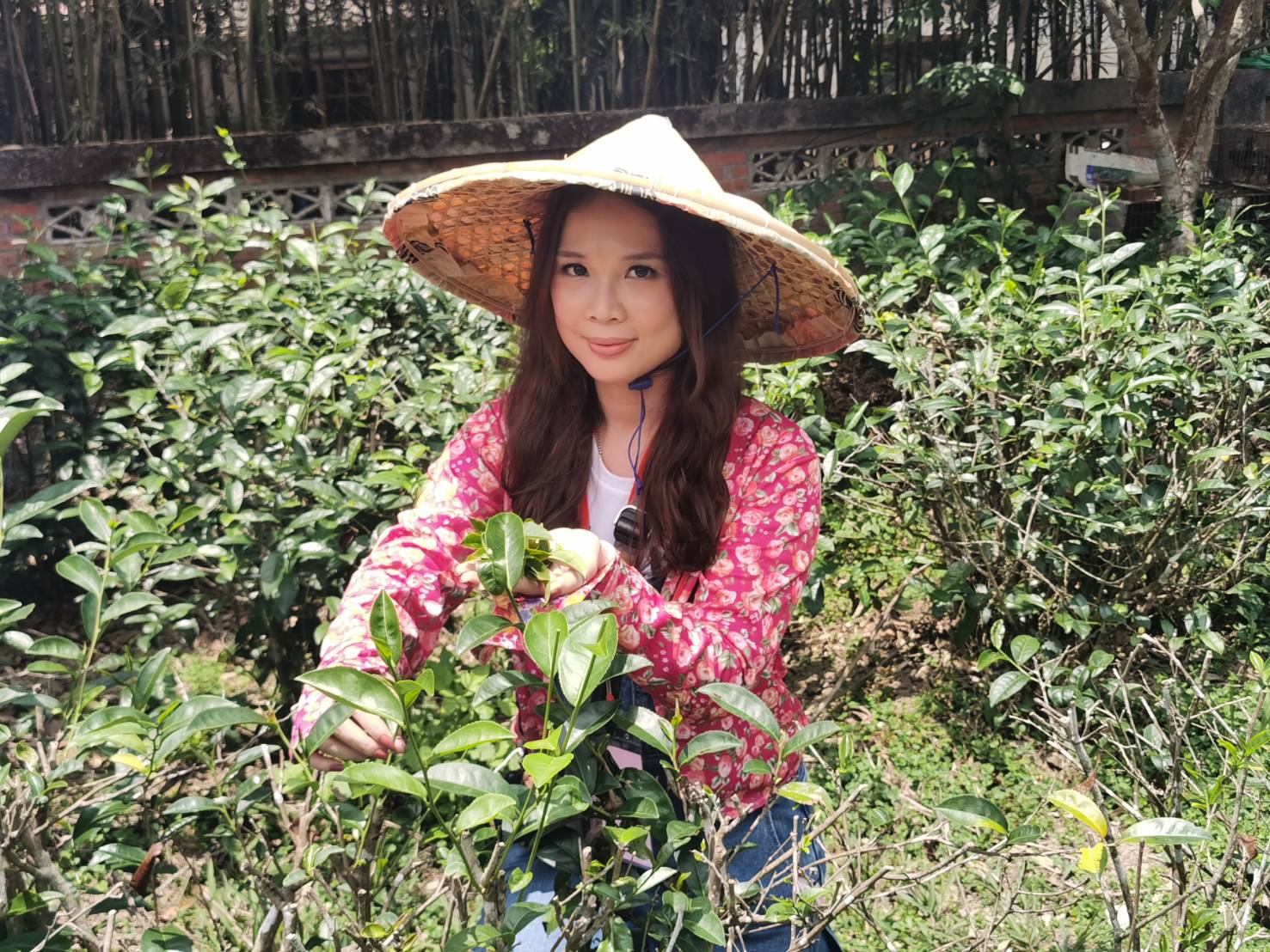 三天兩夜玩到翻！南投美食、住宿、體驗、網美打卡景點，超完美行程一次全打包