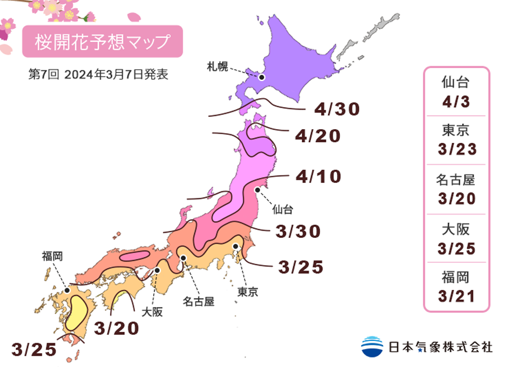 日本氣象株式會社公佈最新版櫻花前線　東京3/30、京阪4/1滿開