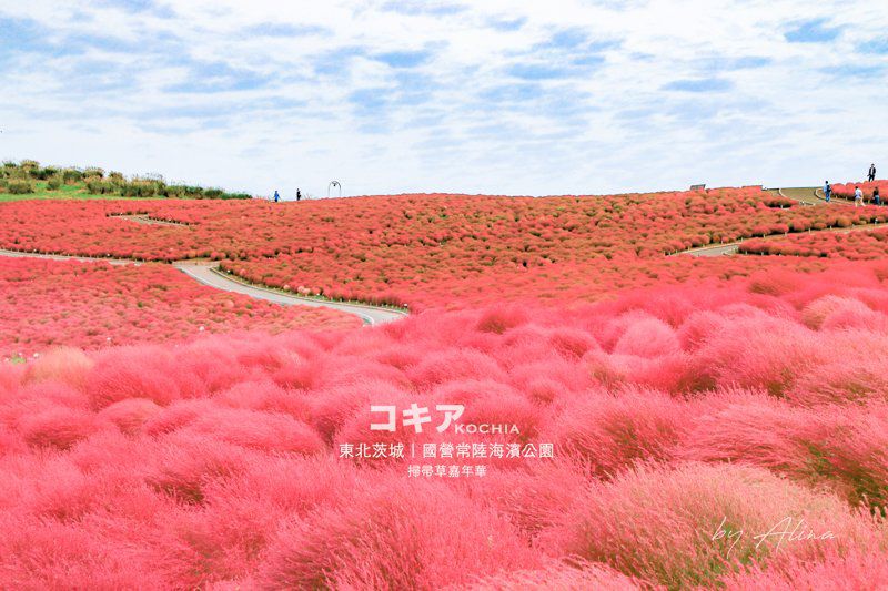 靠美食生活、日本｜茨城怎麼玩？7個茨城必玩景點推薦