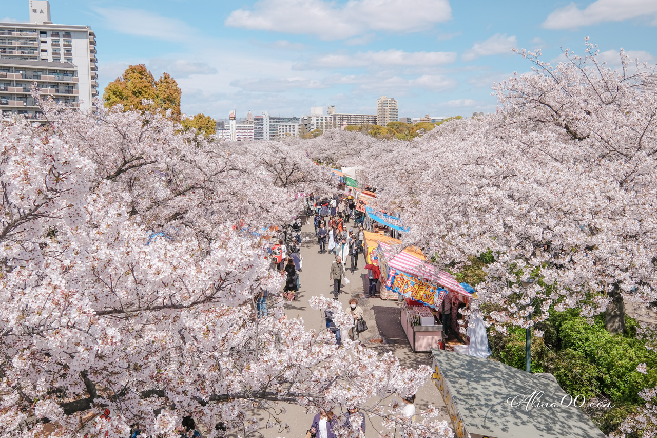 靠旅遊生活、日本｜春季限定！7個京都、大阪賞櫻景點不藏私