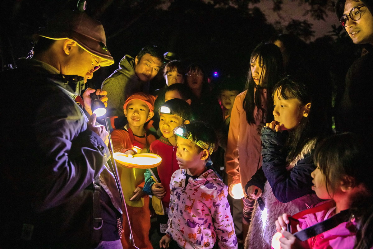 北市府9/7貴子坑辦生態露營　加碼觀星、夜觀生態、闖關遊戲、戲偶表演