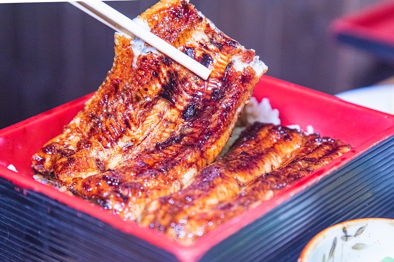 靠美食生活、台北｜7間美味台北鰻魚飯推薦