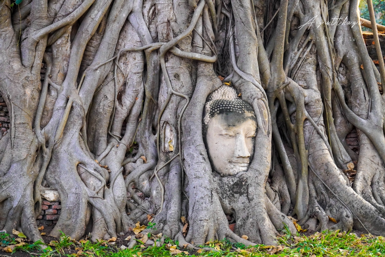 靠旅遊生活、泰國｜Ayutthaya大城景點推薦Top7
