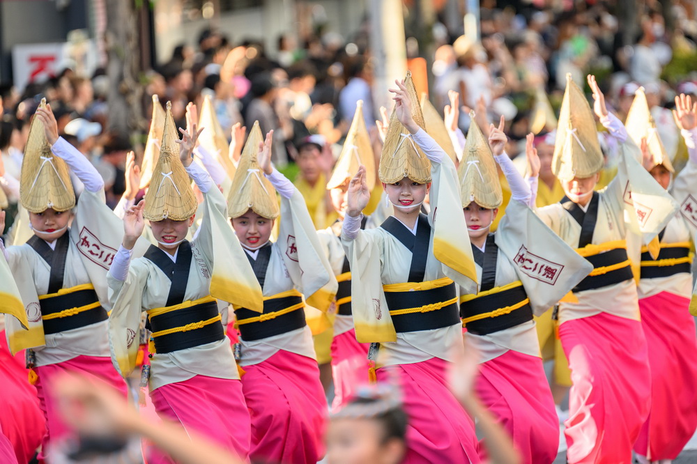 日本東京高圓寺阿波舞4/19、20再訪板橋　100位舞者封街重現祭典盛事