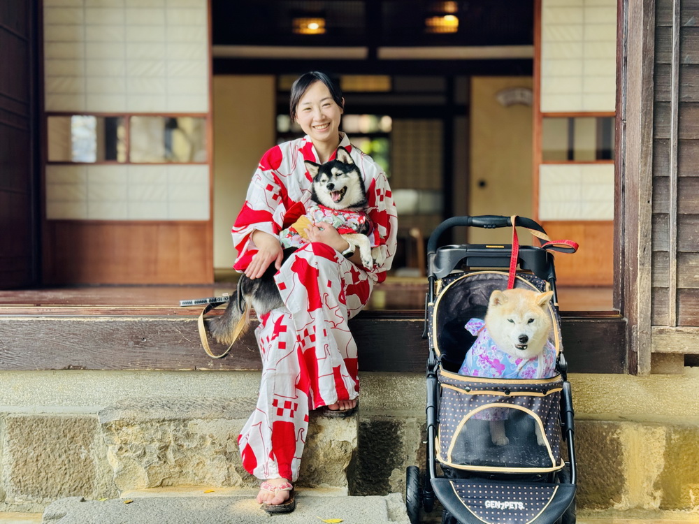 淡水古蹟博物館即起開放寵物入園　新推出浴衣體驗，人與毛孩都可穿