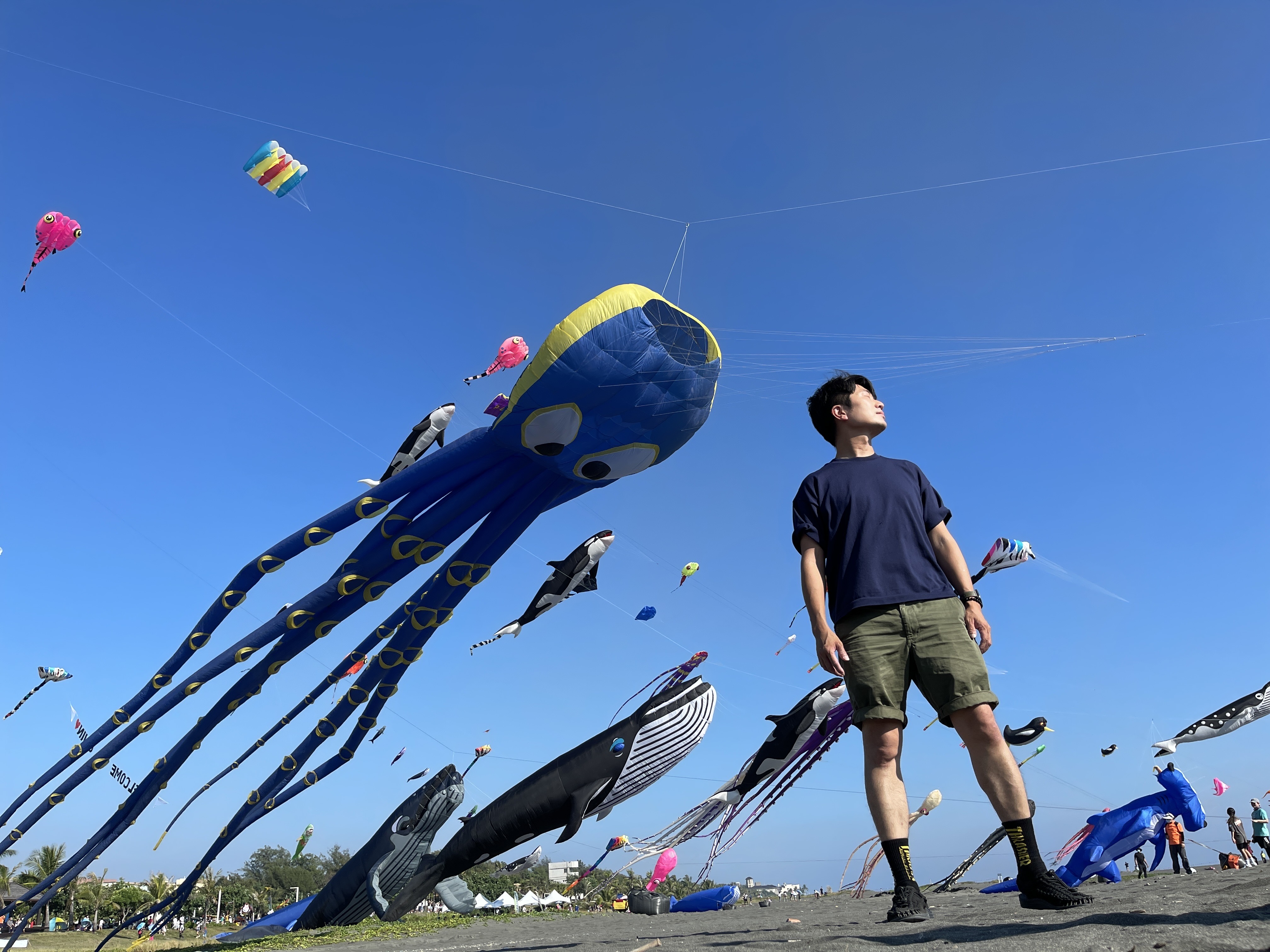 靠旅遊生活、旗津｜「2022旗津風箏節」-大魚世界 超夢幻場景「鯨」豔旗津