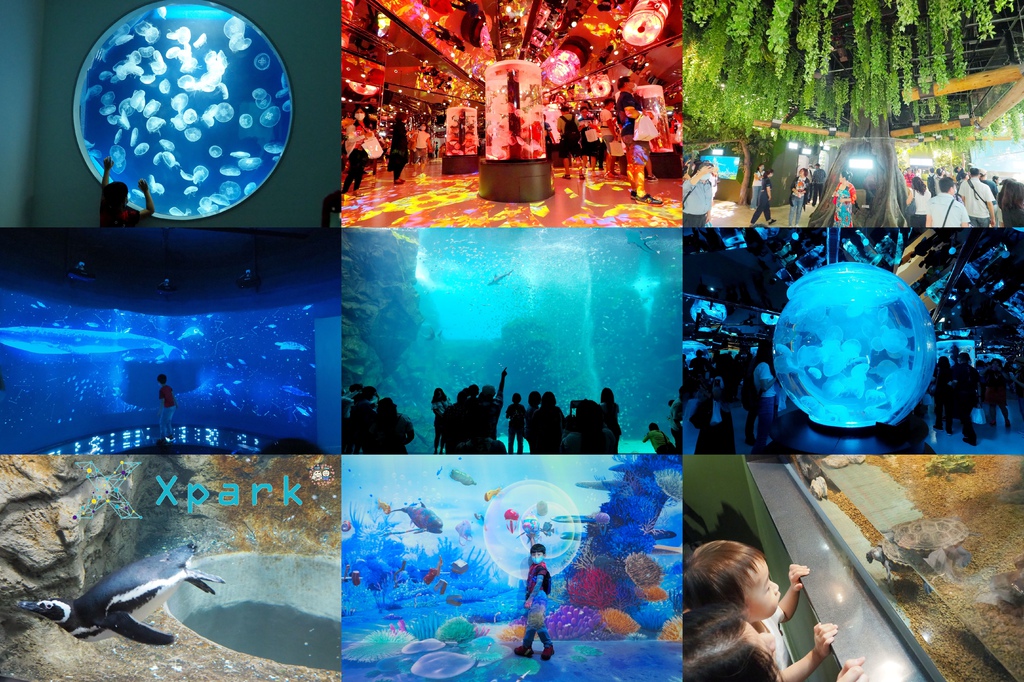 靠旅遊生活、桃園｜超好玩桃園親子景點 Best 7