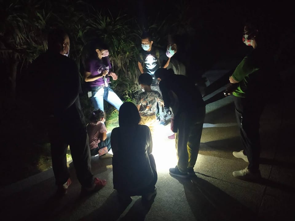 時間限定！夜探三仙台5/1登場　暗空觀星、聽濤、夜觀動植物