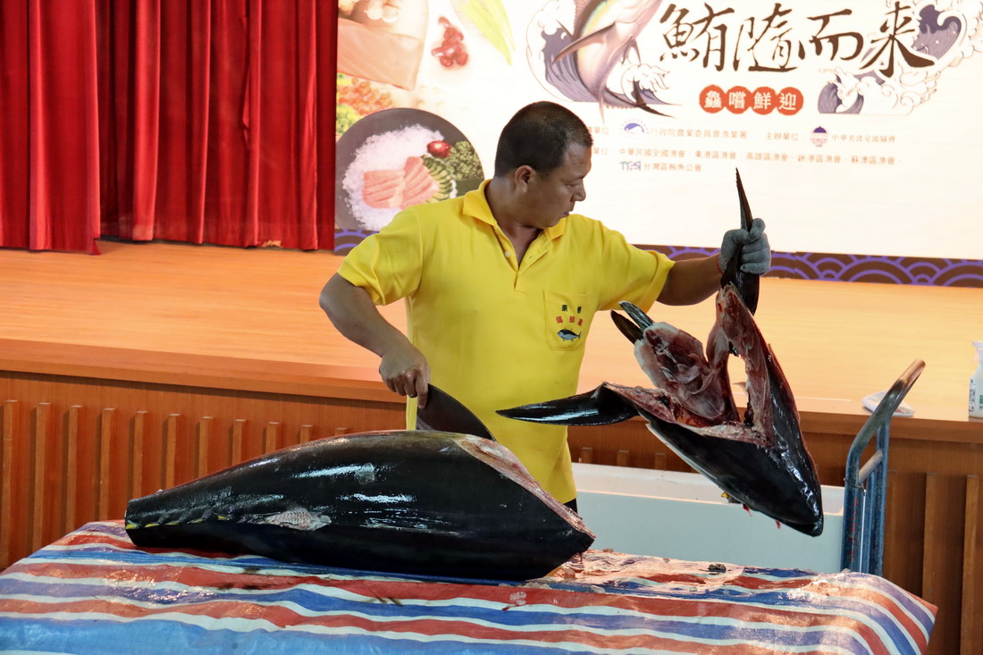 屏東黑鮪魚觀光季5/6開跑　音樂會、啤酒之夜、小旅行活動一籮筐