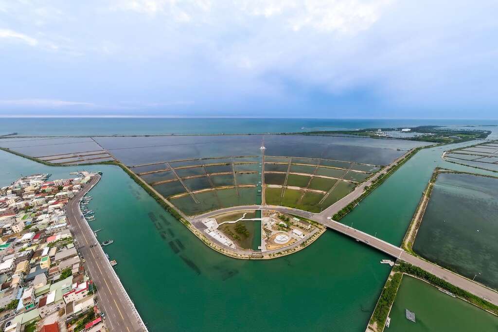 【新景點】台南全新打卡地標搶鮮登場　扇形鹽田裡的生命之樹超吸睛