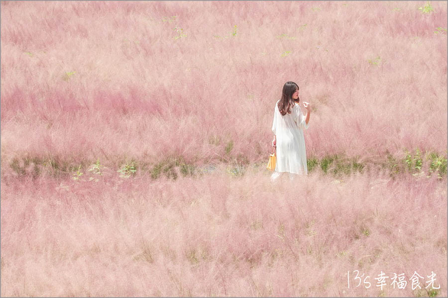 靠旅遊生活、台灣｜盤點全台7處「粉紅景點」，少女心炸裂！