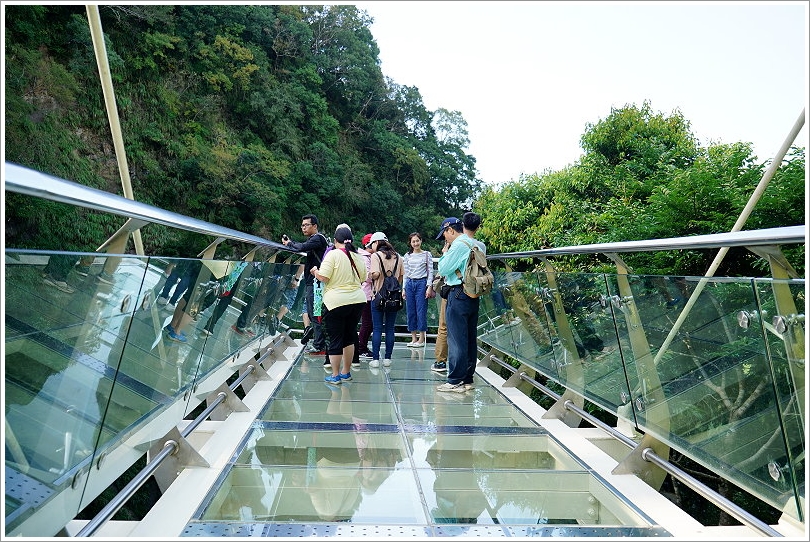 靠旅遊生活、桃園｜親子旅遊 OK啦！精選 7 條輕鬆好走桃園自然步道