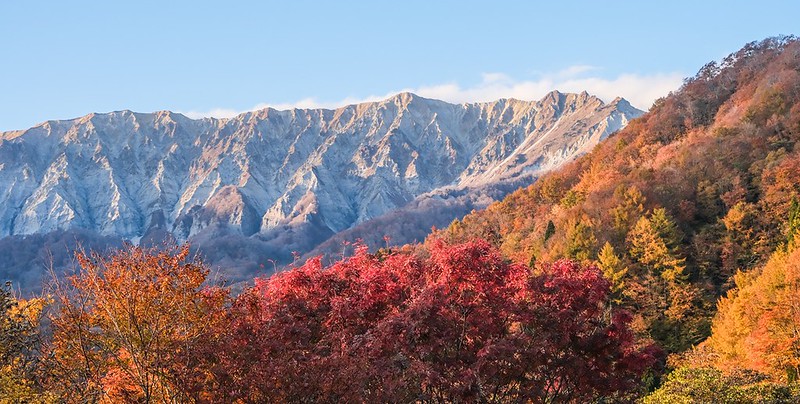 靠旅遊生活、日本｜季節限定！精選 5 個鳥取紅葉景點