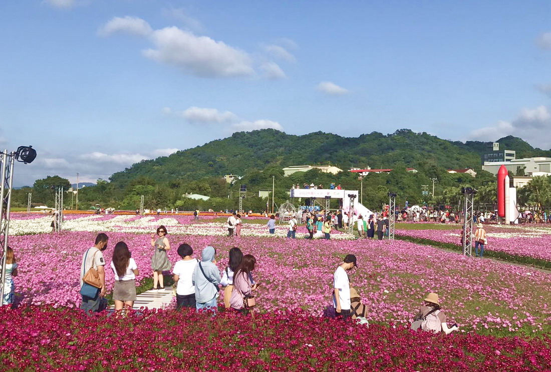 拼布花海現蹤桃園大溪　2023桃園花彩節11/11-19繽紛登場