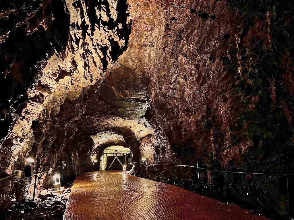 台北信義區暗藏２處煤礦古坑道　秘境探險還可見樹屋、鐘乳石、台灣葉鼻蝠